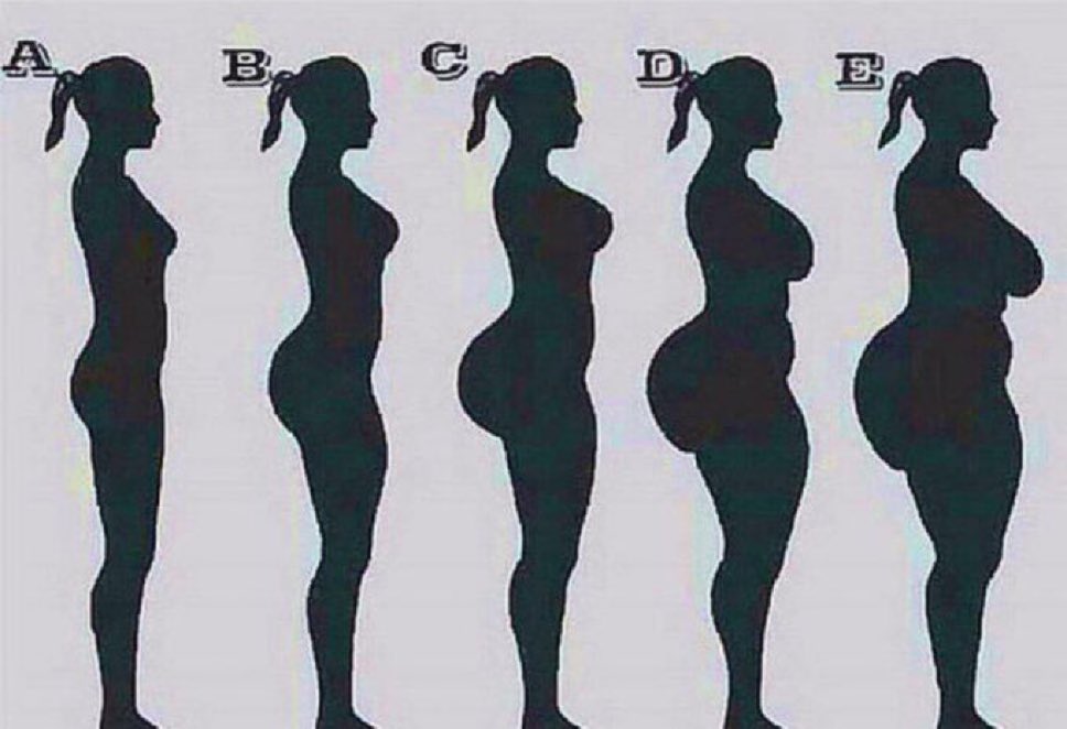 ALPHA BULL tweet media