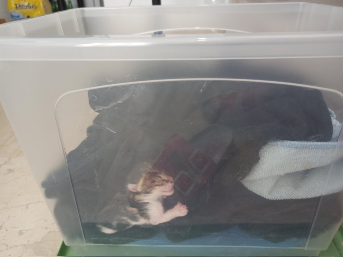 Aklımı aldı slak gjfjdjdjd