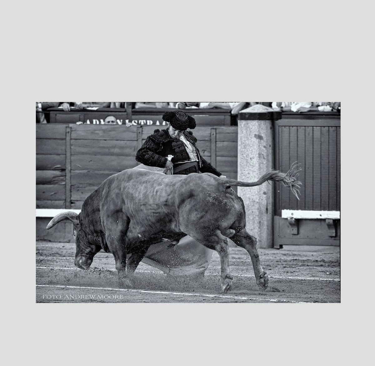 "Las Ventas fue un festival dionisiaco, un reverdecimiento de los cultos ctónicos, esos dioses telúricos que, en la antigua Grecia, representaban un espíritu de la naturaleza, que animaba creativamente al hombre, las cosas y el mundo."
José Ramón Márquez
<a href="/PulgadeTriana/">José Ramón Márquez</a>