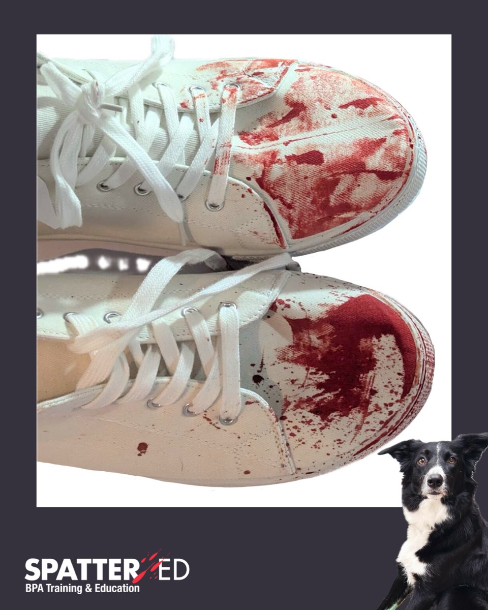spatter_ed's tweet image. The bloodstaining on the shoes was produced by students during the practical sessions on our recent Level 2 (Basic, 40 hour) BPA training course.

What are your observations? 📷
Can you classify the pattern or patterns? 📷
How many actions? 📷

#BPA #bloodstainpatternanalysis