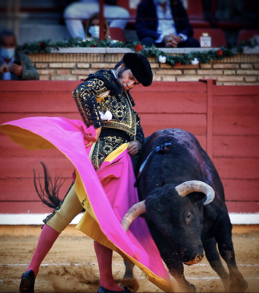 taurusaficion's tweet photo. PUERTA GRANDE  historica en Las Ventas y con sabor a singular e inigualable genialidad ...
La plaza: de pie. El toreo: vivo.
Madrid ya tiene nuevo nombre: Jose Antonio Morante de la puebla https://t.co/k26dbe8VGj
