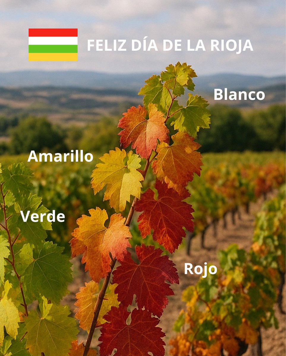 Feliz día de una tierra que vibra por sí sola.
🍷🤍🍃☀️
#9junio #DíaDeLaRioja