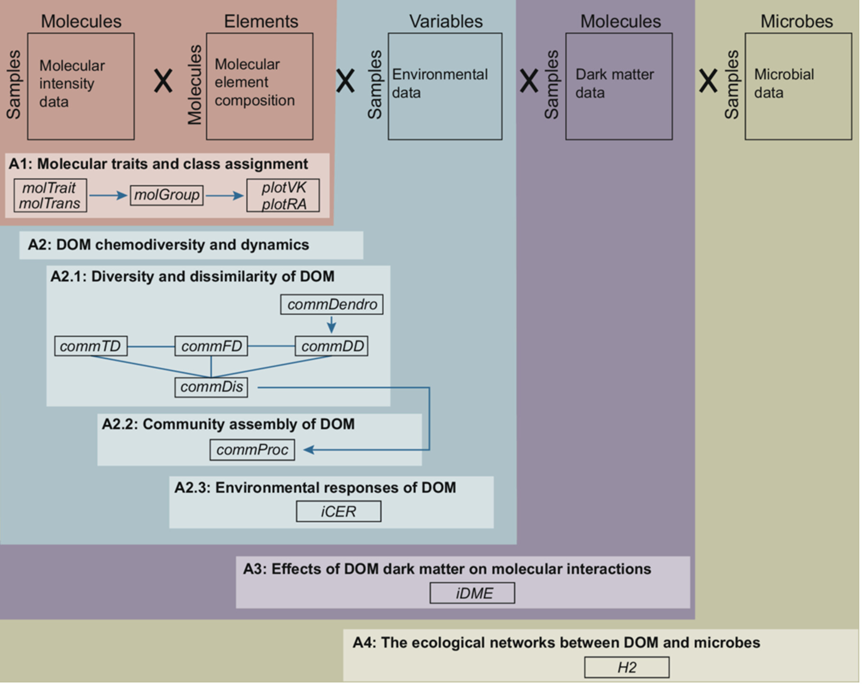 Introducing iDOM, recently published on #mLife, an R package tailored to decode the complexity of dissolved organic matter (DOM) via high-resolution mass spectrometry! <a href="/wileymicrobio/">Wiley Microbiology</a> <a href="/WileyEcolEvol/">Wiley Ecology & Evolution</a>
Try it: github.com/jianjunwang/iD…
Learn the framework: doi.org/10.1002/mlf2.7…