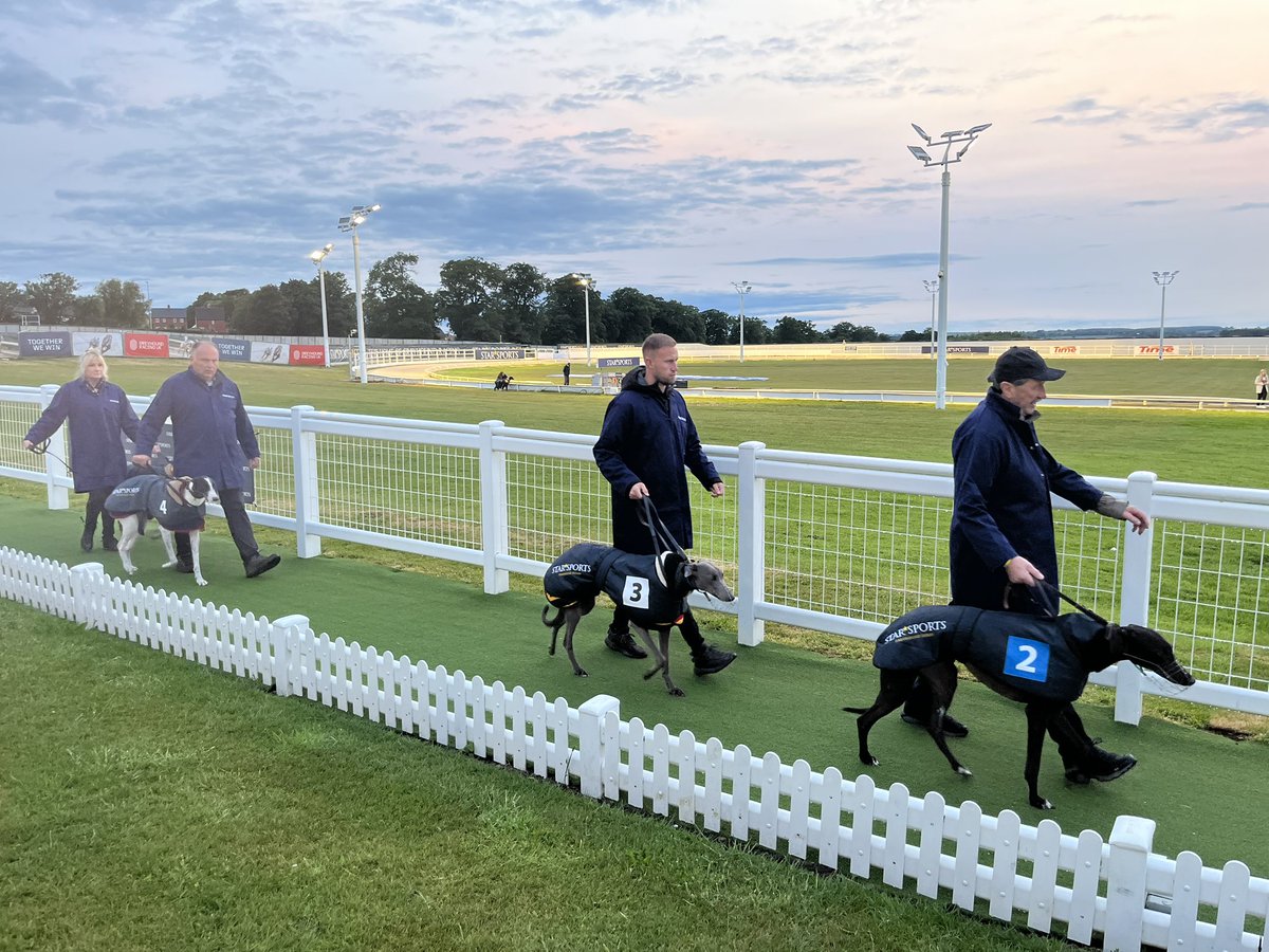 Newcastle Greyhound Stadium (@newcastledogs) on Twitter photo It wasn't to be for Droopys Bookem in Saturday's English Greyhound Derby semi finals 😫
But what an achievement to reach the final 1⃣2⃣ for team <a href="/LinkKennels/">LINK KENNELS - TOM HEILBRON</a>, who will be represented by Deliverooo in the Derby Plate..
Best wishes to all finalists running at the weekend. It wasn't to be for Droopys Bookem in Saturday's English Greyhound Derby semi finals 😫
But what an achievement to reach the final 1⃣2⃣ for team <a href="/LinkKennels/">LINK KENNELS - TOM HEILBRON</a>, who will be represented by Deliverooo in the Derby Plate..
Best wishes to all finalists running at the weekend.