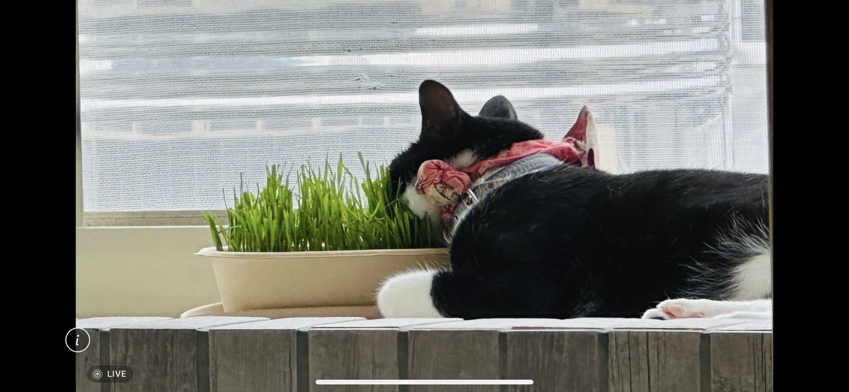 這位帥哥～你是憂鬱還是過太爽？