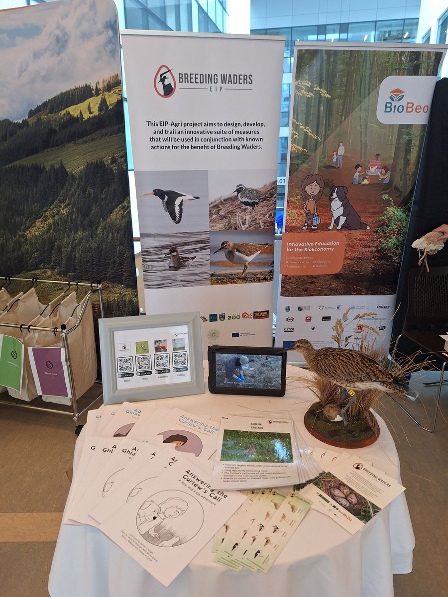 Breeding Waders EIP Project tweet media