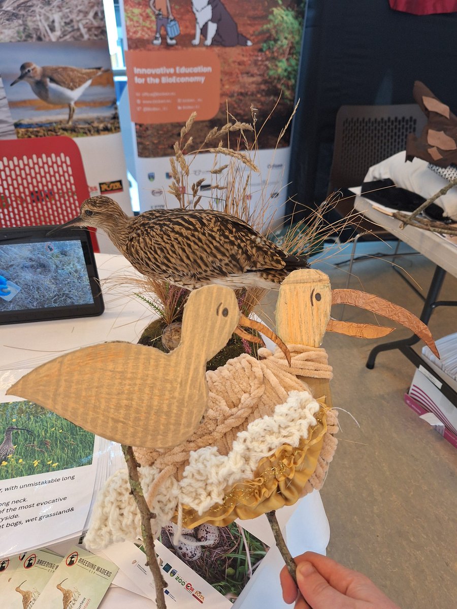 Breeding Waders EIP Project tweet media