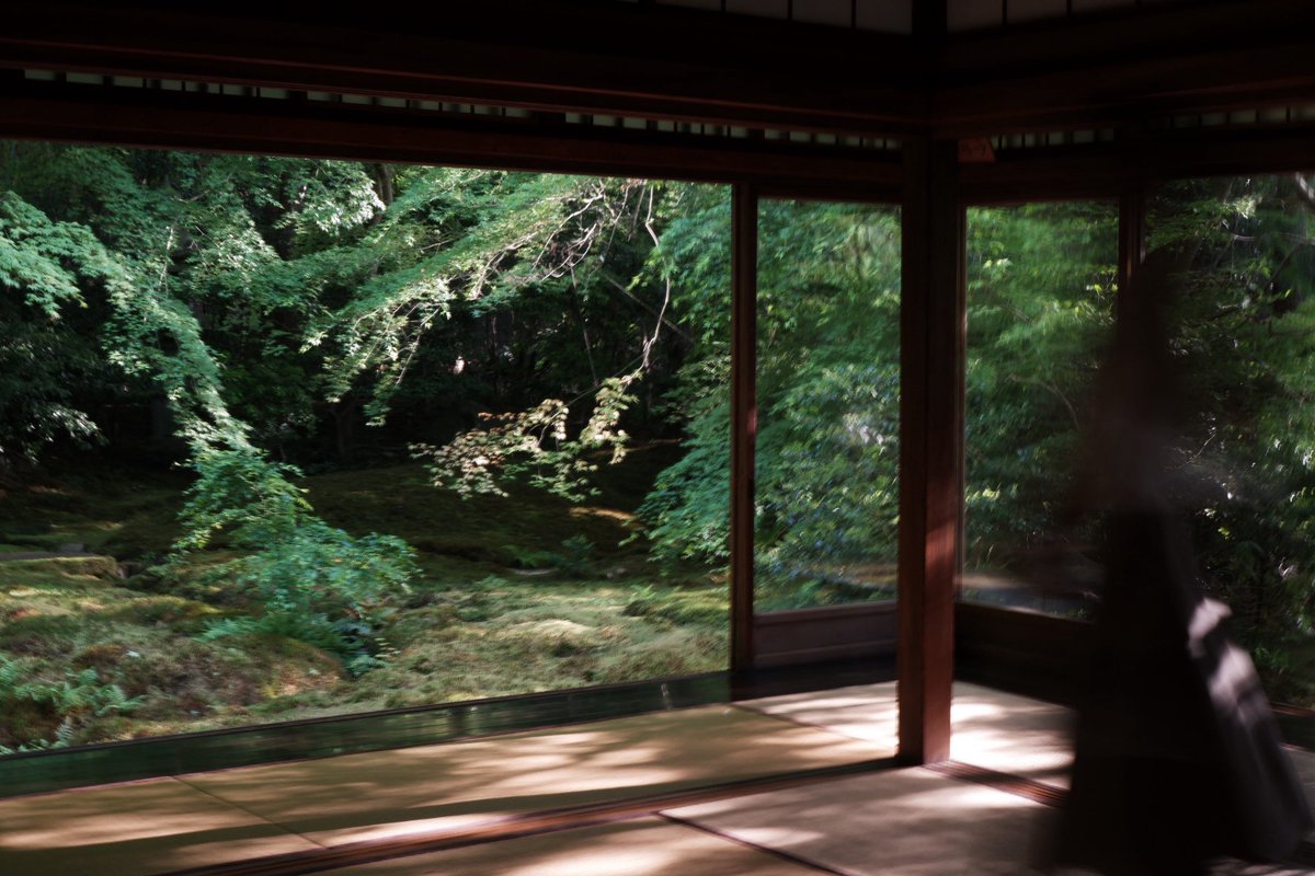 come to think of it, this is the photo that made me think of creating my username. something about this looks like a ghost of the past to me.
#photography #fujifilm #naturephotography