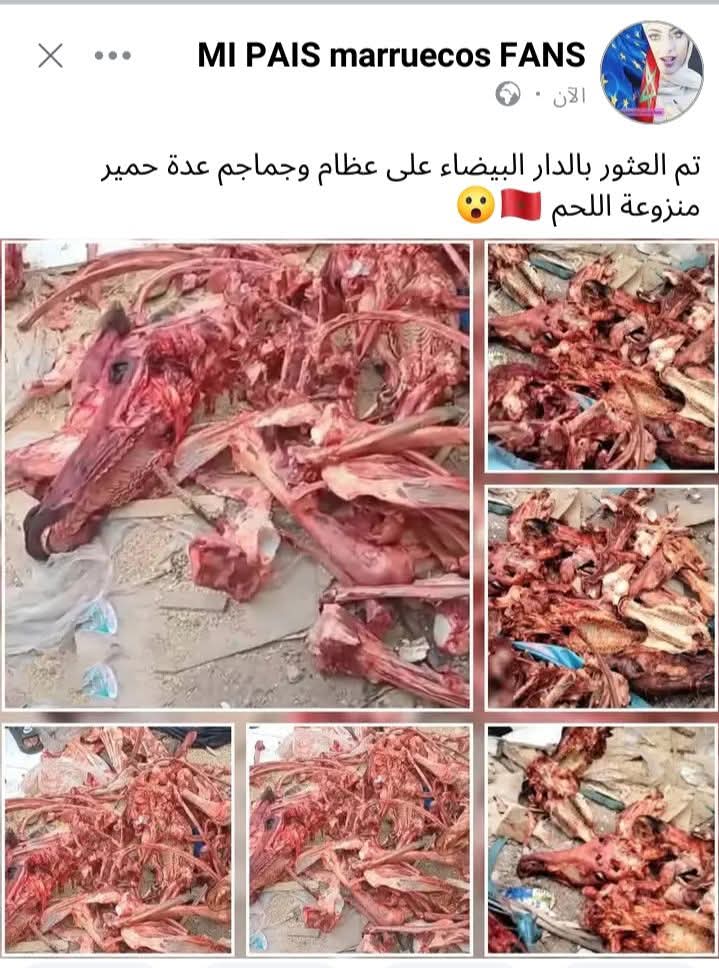 الملك في مملكة ابو رغال يأكل لحم خراف طازج و العبيد يستهلكون بقايا الحمير ! 
#المغرب #الجزائر  #السعودية