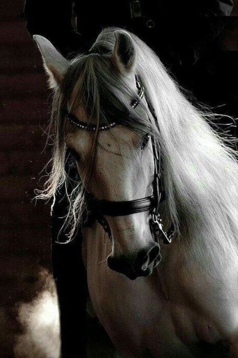 الأمان ..

أظنه الشعور الوحيد الذي يستحق عناء البحث، أن تأمن وأنت تتحدث، وتنفعل، وتعبر عن مشاعرك..

أن تأمن أن عفويتك محبوبة ومقبولة، أنك لا تحتاج إلى التصنع كي تبقى مرغوبًا، وأن كل ما تعانيه من نفسك، لا يمثل مشكلة للآخرً ..!!

.

.

.