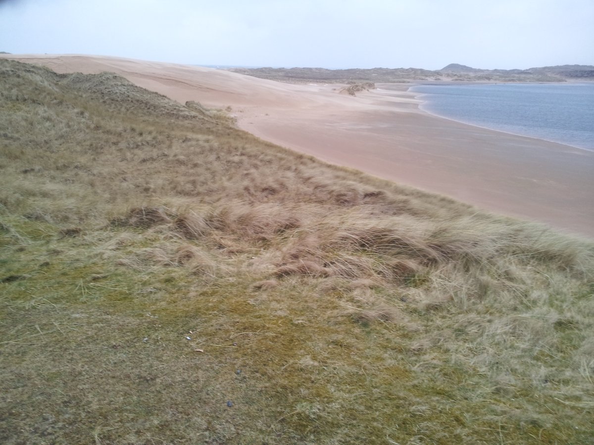 manonabeach (@manonabeach) on Twitter photo What the #beach means at #SandsofForvie in #Aberdeenshire #Scotland, with <a href="/PerkhillCottage/">Perkhill Cottages</a> - manonabeach.com/north-east-sco… What the #beach means at #SandsofForvie in #Aberdeenshire #Scotland, with <a href="/PerkhillCottage/">Perkhill Cottages</a> - manonabeach.com/north-east-sco…