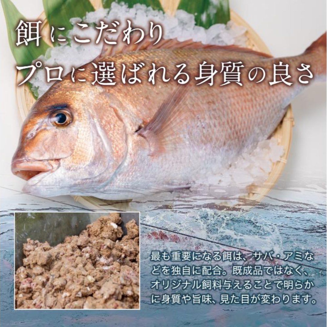 fukunari_'s tweet photo. 🐟イベント告知🐟

明日、6月10日(火)はイオン大津店でふく成がこだわり抜いて育てた真鯛を使ったカルパッチョ・炙りの試食イベントを開催します✨

お手軽・簡単メニューを15品、食卓を彩る「プラスワン」としてご用意しています。この機会に、ぜひイオン大津店にお立ち寄りくださいませ😊 https://t.co/Y9mJBRerli