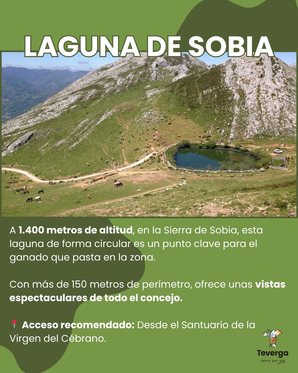 🔍 ¿Qué ver en Teverga?

A 1.400 metros de altitud, en plena Sierra de Sobia, se esconde una laguna de forma circular que sirve de refugio y fuente de agua para el ganado que pasta en la zona. 🌿🐂

#Teverga #Asturias #NaturalezaPura #DescubreTeverga