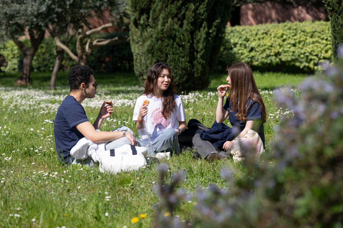 L’estate è esplosa e il look da campus si sposta… all’aperto!🥪
Che sia per un picnic o una sessione di studio sotto il sole, le t-shirt del Ca’ Foscari Shop sono il modo più semplice per portare con te l’orgoglio cafoscarino ovunque tu vada.
cafoscarishop.it