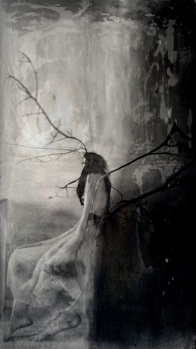 🌿good morning 🕊️
🤍1/5 roots
🖤2/10 missing peace
owned by <a href="/shany_gin/">Shany Gin</a> 💫
in world where everything must be taken into your own hands i am sometimes blind barely awake feeling for reality i wander in delirium and daze i pull off sleep sleepily with dream with doubt with oblivion