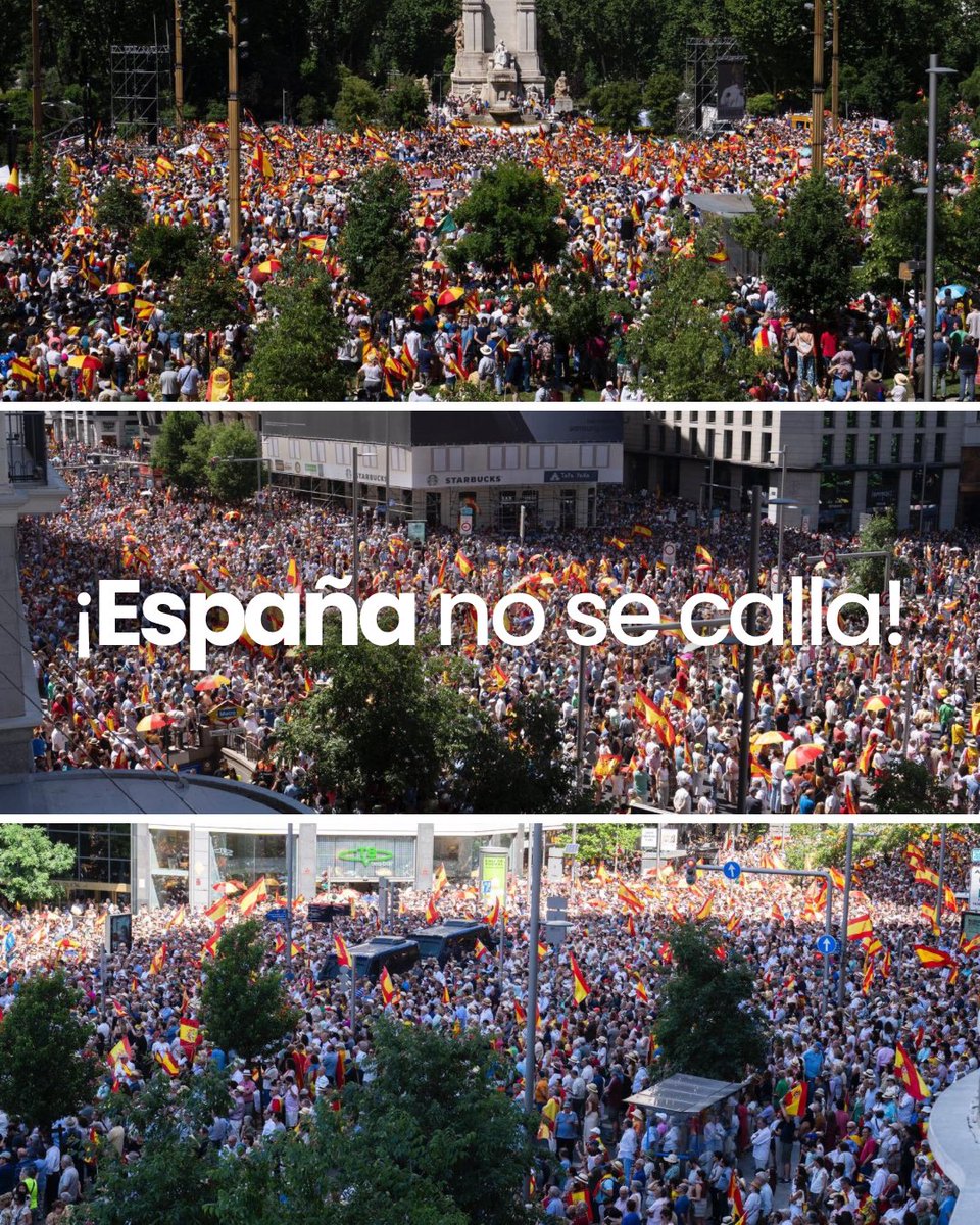 🇪🇸 ¡España no se calla ante los escándalos del PSOE!