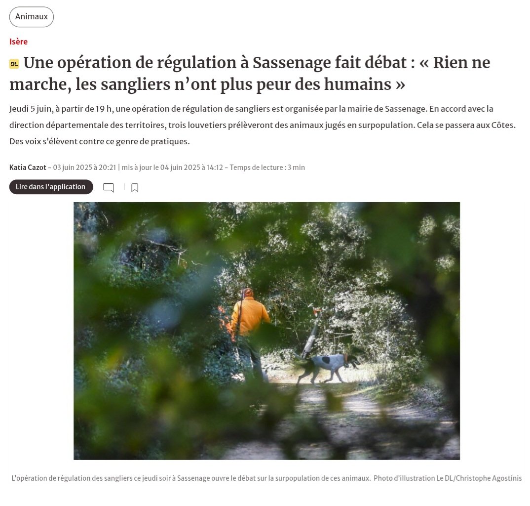 Parti animaliste (@partianimaliste) on Twitter photo Coprésidente du Parti animaliste et conseillère communautaire de la métropole de Grenoble, <a href="/SandraKrief/">Sandra Krief</a> a fermement dénoncé l'opération d'abattage de sangliers qui s'est déroulée jeudi dernier dans l'Isère. La surpopulation n'est qu'un prétexte pour tuer, rappelle-t-elle. Coprésidente du Parti animaliste et conseillère communautaire de la métropole de Grenoble, <a href="/SandraKrief/">Sandra Krief</a> a fermement dénoncé l'opération d'abattage de sangliers qui s'est déroulée jeudi dernier dans l'Isère. La surpopulation n'est qu'un prétexte pour tuer, rappelle-t-elle.