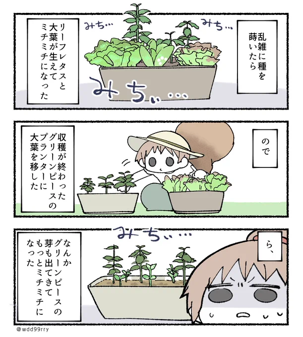 日記 