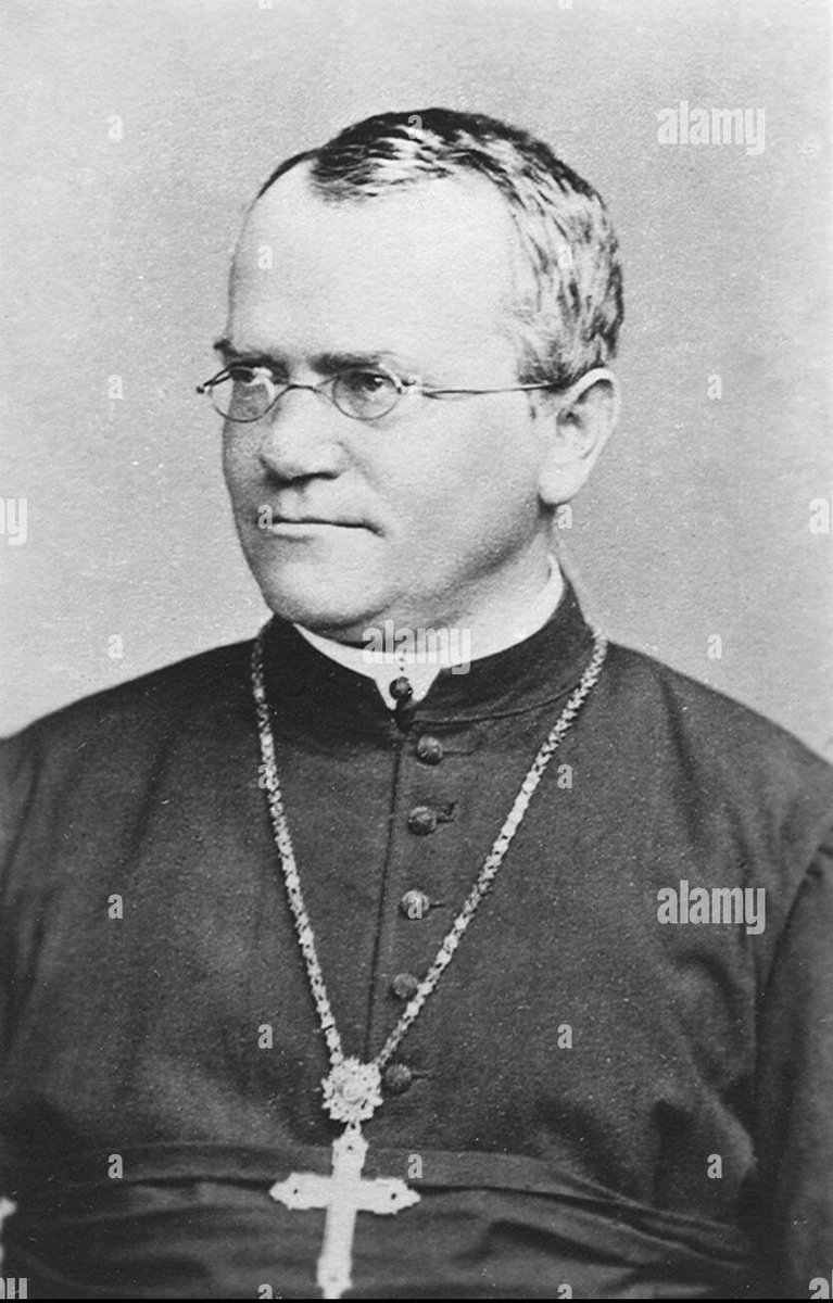 ptmaatta's tweet photo. Modernin genetiikan isä on itävaltalainen augustinolaismunkki Gregor Mendel. https://t.co/ejTFhh960q