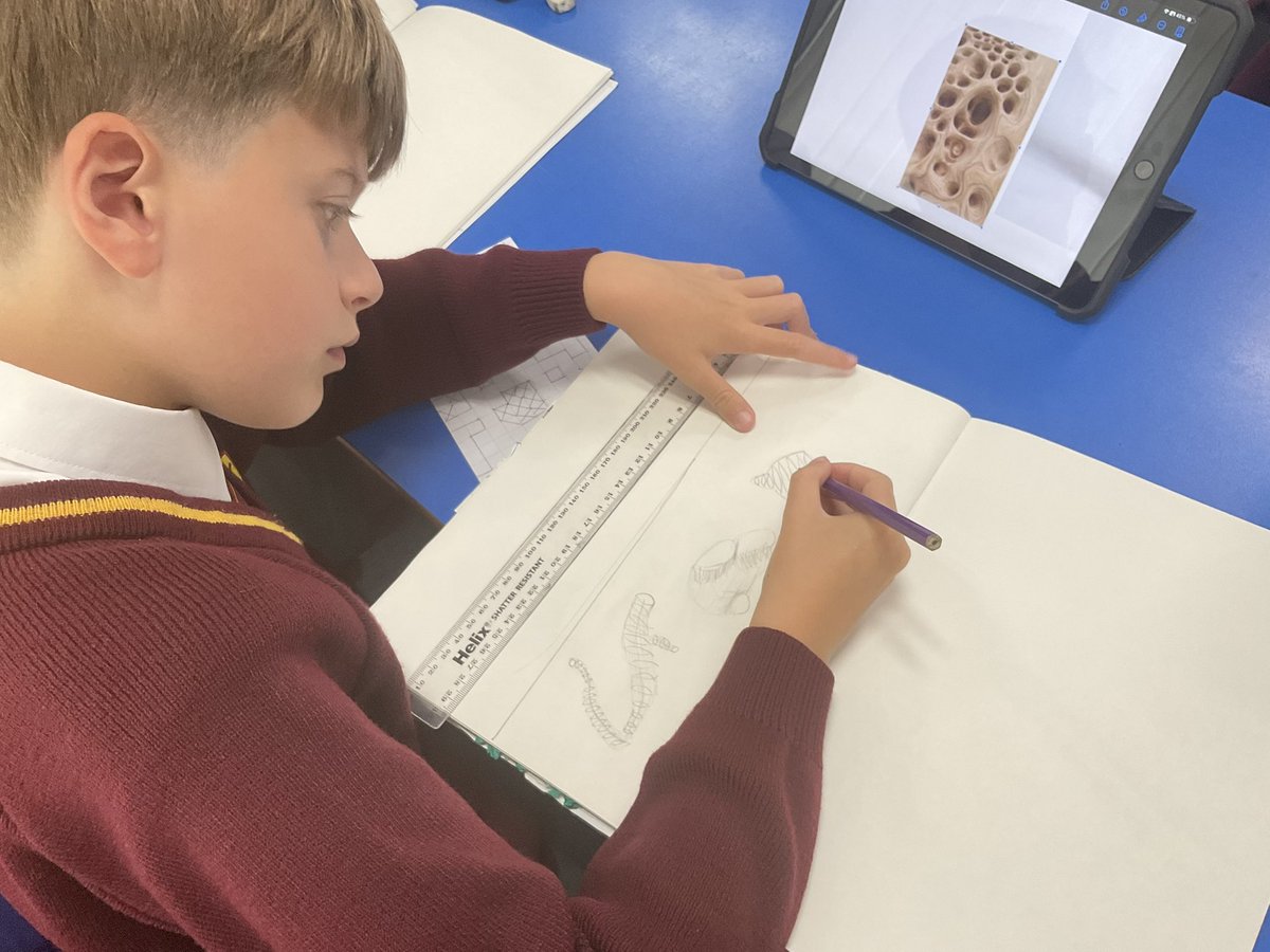 PDA_Y5's tweet image. In our Architectural unit in Art, we explored  ‘organic forms’ and drew fluid and non-traditional shapes. We used curved lines and practised letting go of rigid straight lines! We compared geometric shapes and organic shapes. #pdaart