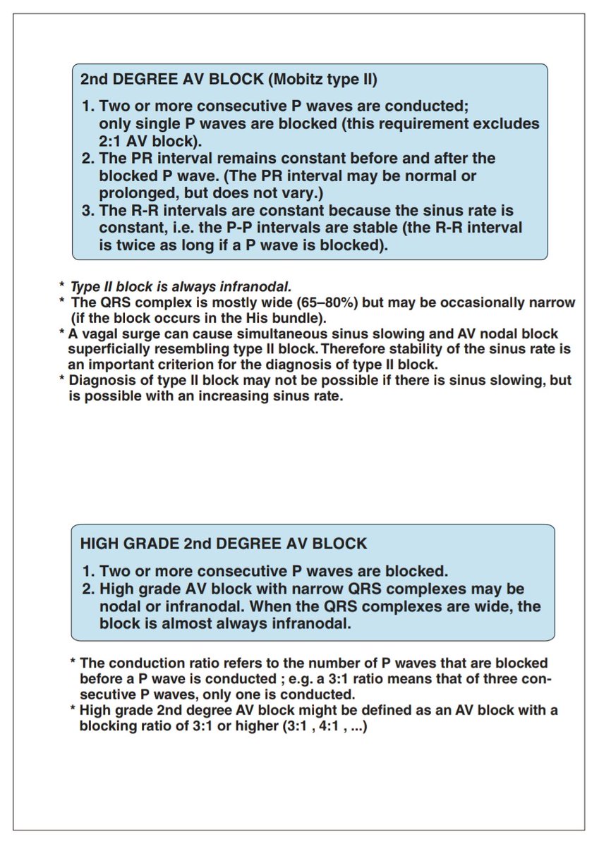 Milan Koštek tweet media