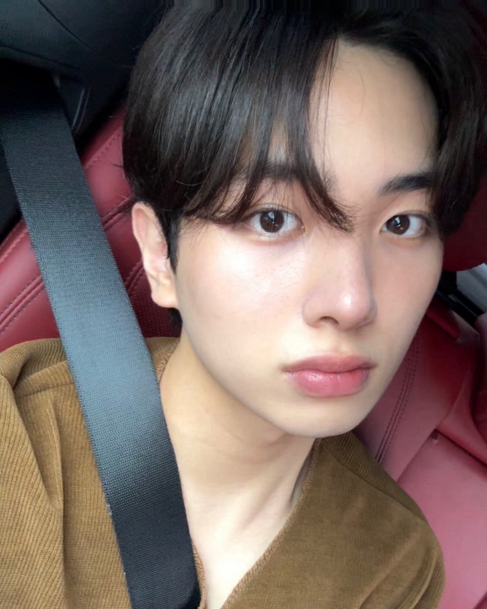 atbo archive tweet media