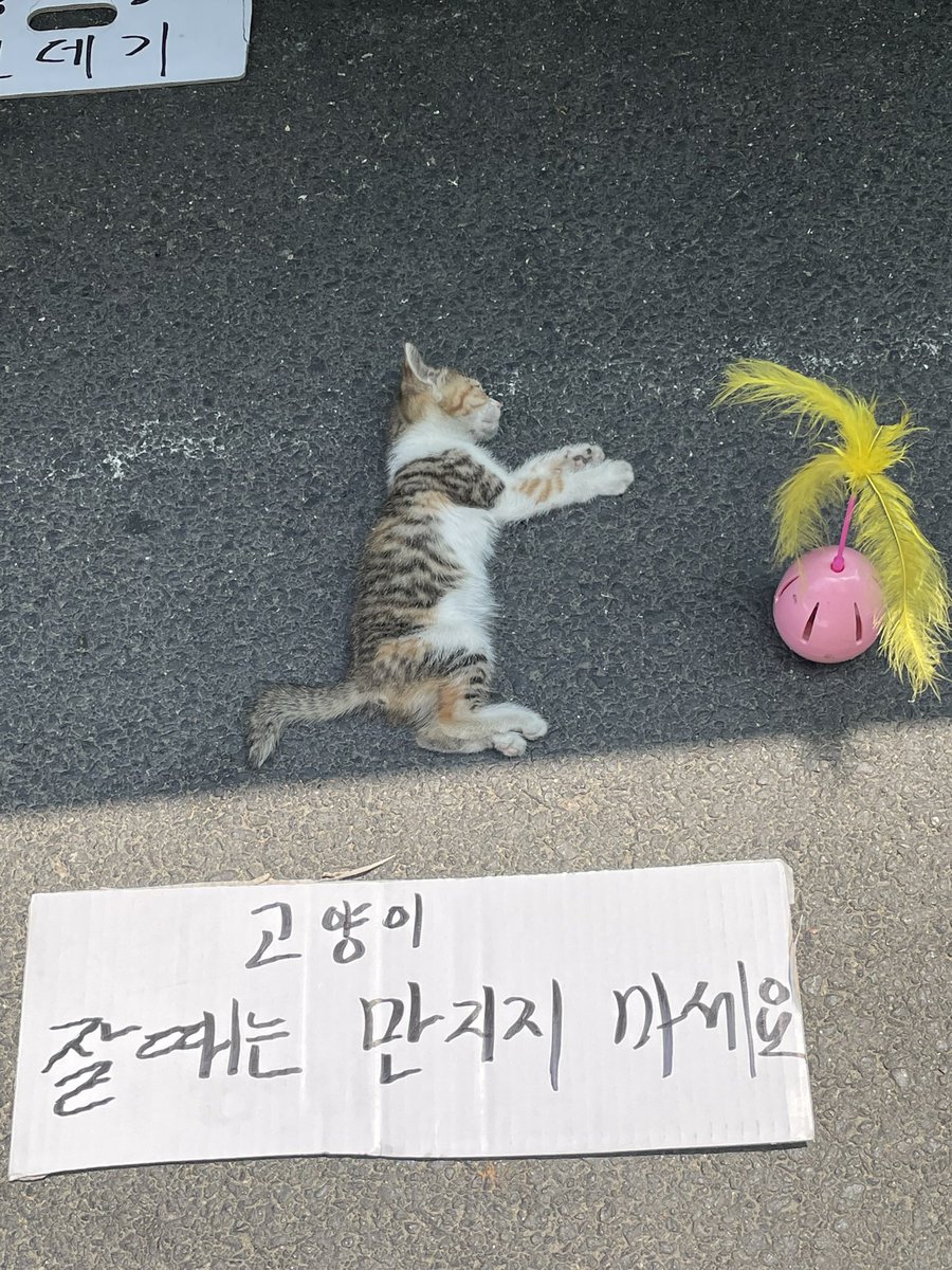 난 얘 
얘때매 학교 세번인가 지각함 
제발 모두가 봐 줬으면 좋겠음