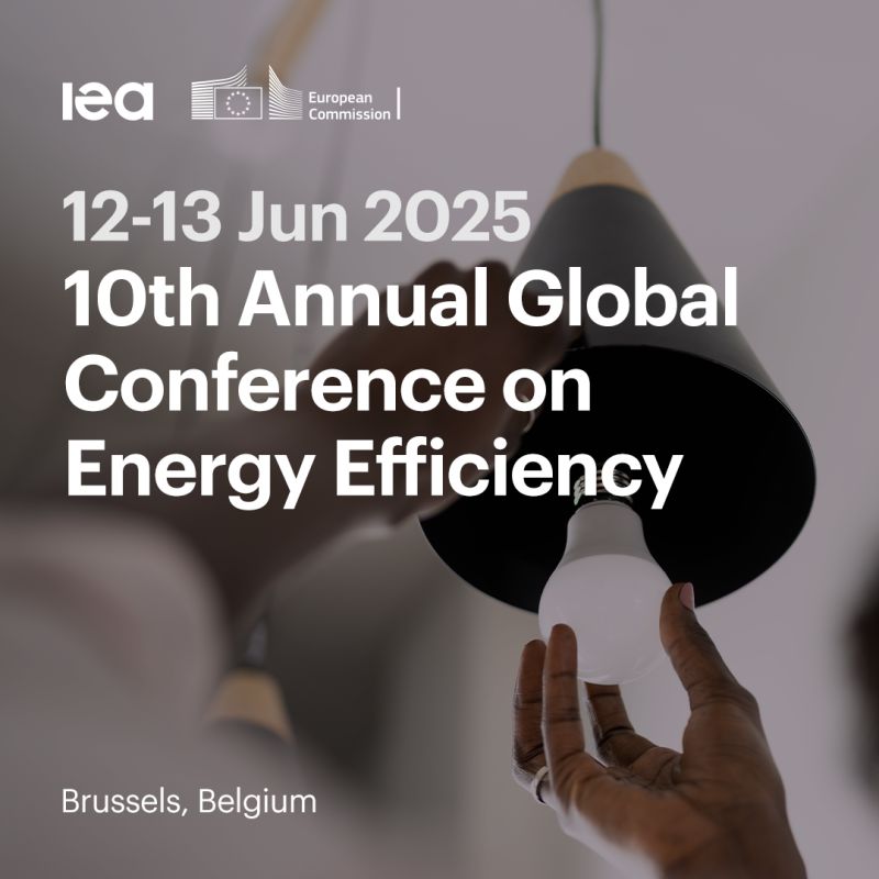 SEFA joins the <a href="/IEA/">International Energy Agency</a> 's 𝟏𝟎𝐭𝐡 𝐆𝐥𝐨𝐛𝐚𝐥 𝐂𝐨𝐧𝐟𝐞𝐫𝐞𝐧𝐜𝐞 𝐨𝐧 𝐄𝐧𝐞𝐫𝐠𝐲 𝐄𝐟𝐟𝐢𝐜𝐢𝐞𝐧𝐜𝐲 hosted in partnership with the <a href="/EU_Commission/">European Commission</a> . Representing SEFA at the CEO and Non-Profit Roundtables will be our Executive Director, <a href="/Lina_Konst/">Konstantinopoulou</a>  

#SEFA #EfficiencyAction