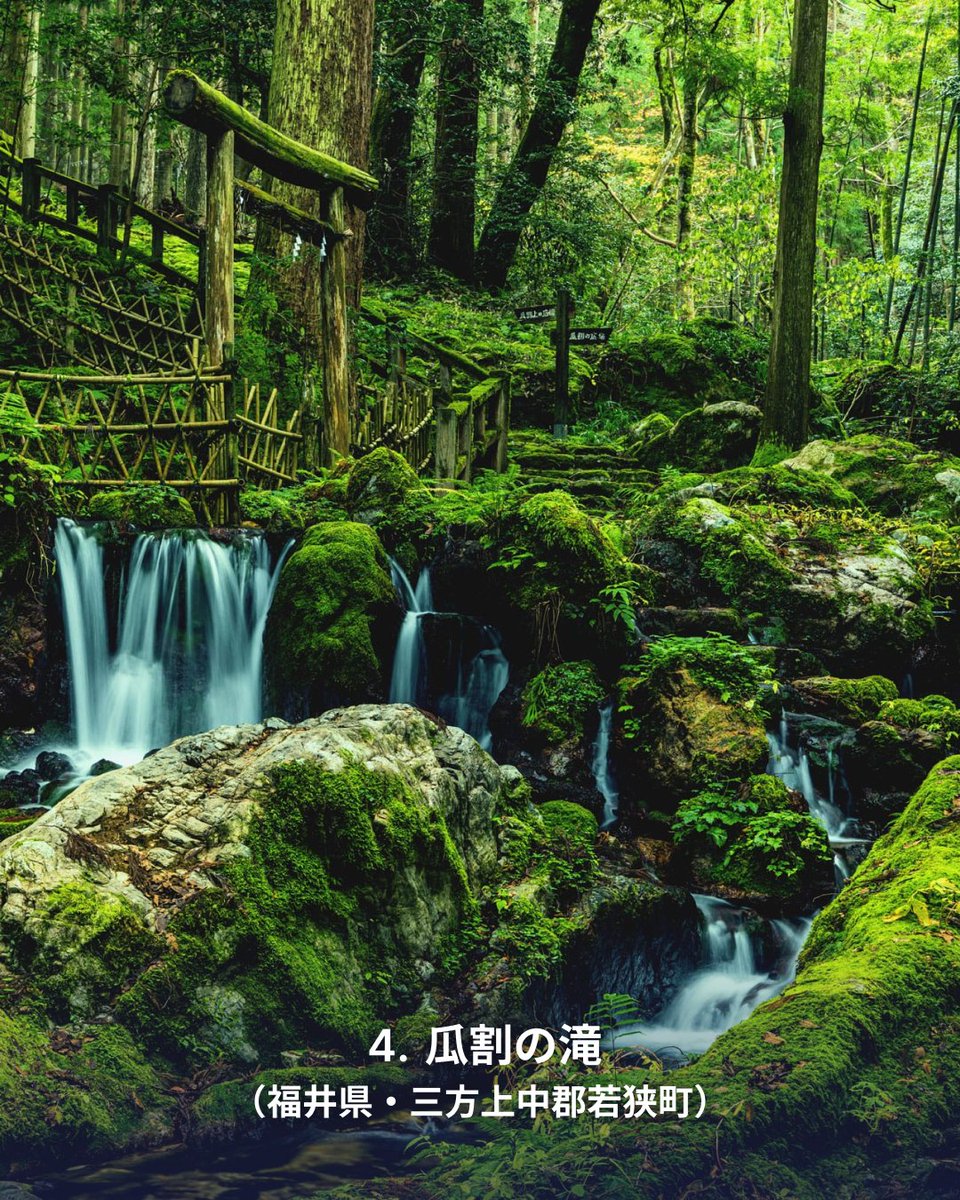 しっとり涼やかなヒーリングスポット🌱
#苔スポット をご紹介します✨

1️⃣ 五百羅漢（岩手県遠野市）
2️⃣ チャツボミゴケ公園（群馬県吾妻郡中之条町）
3️⃣ 箱根美術館（神奈川県足柄下郡箱根町）
4️⃣ 瓜割の滝（福井県三方上中郡若狭町）
