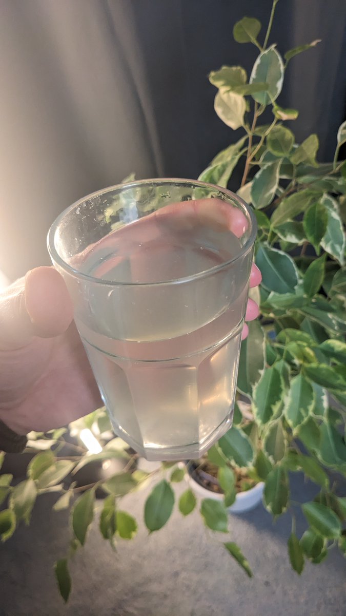 HealthmaxxingJD's tweet photo. 1) Anstatt morgens den 'Snooze'-Button zu drücken, mach das:
- Steh' sofort auf 
- Trink 750ml Wasser mit Natrium, Chlorid, Magnesium und Kalium https://t.co/ZznY8BJmm1