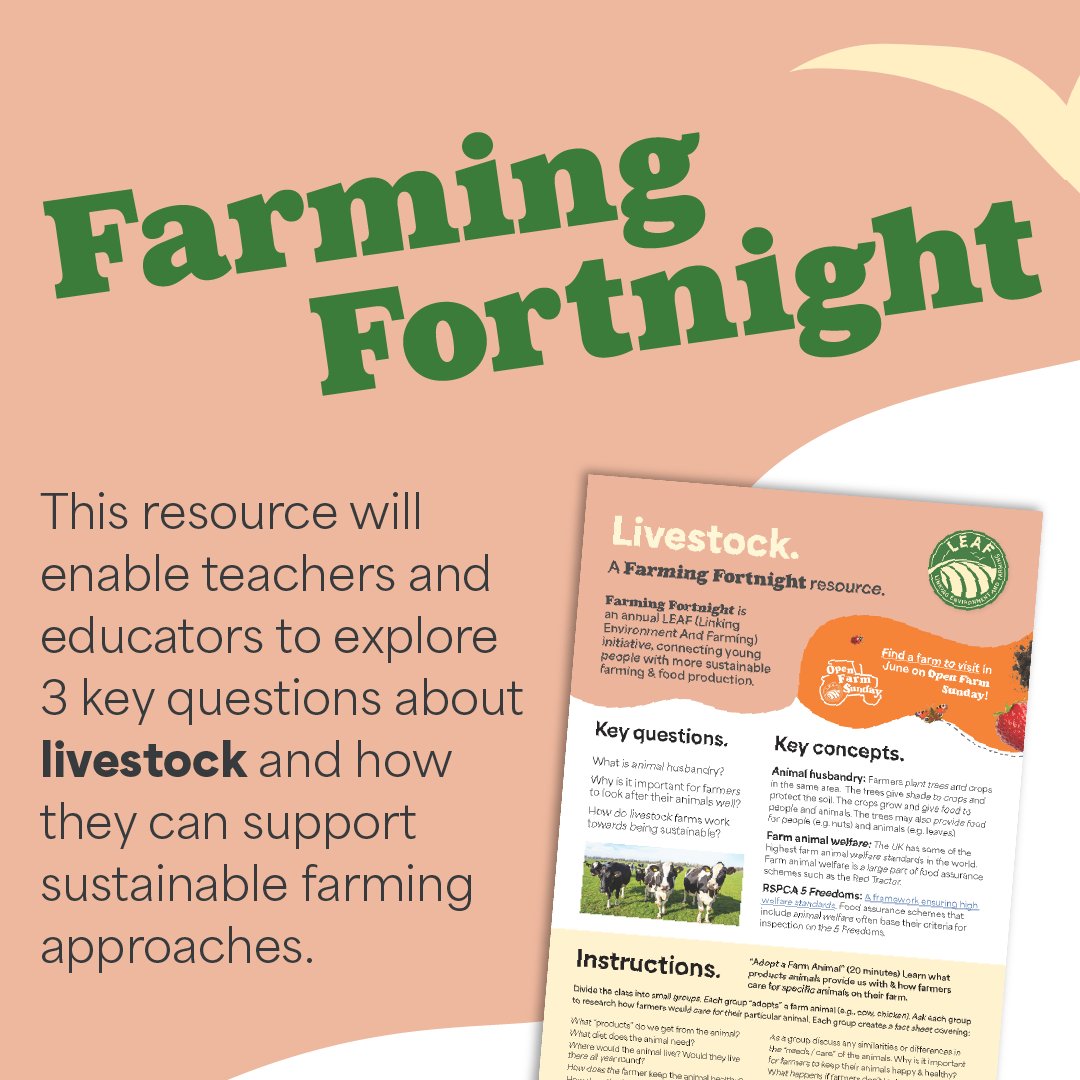 🐄🌱 How do livestock farms work towards being sustainable?

By improving animal welfare, managing grasslands, cutting emissions, using resources wisely and more! 🐖

Find out more in our new resource!! countrysideclassroom.org.uk/resources/1854 #FarmingFortnight2025  #SustainableLivestock