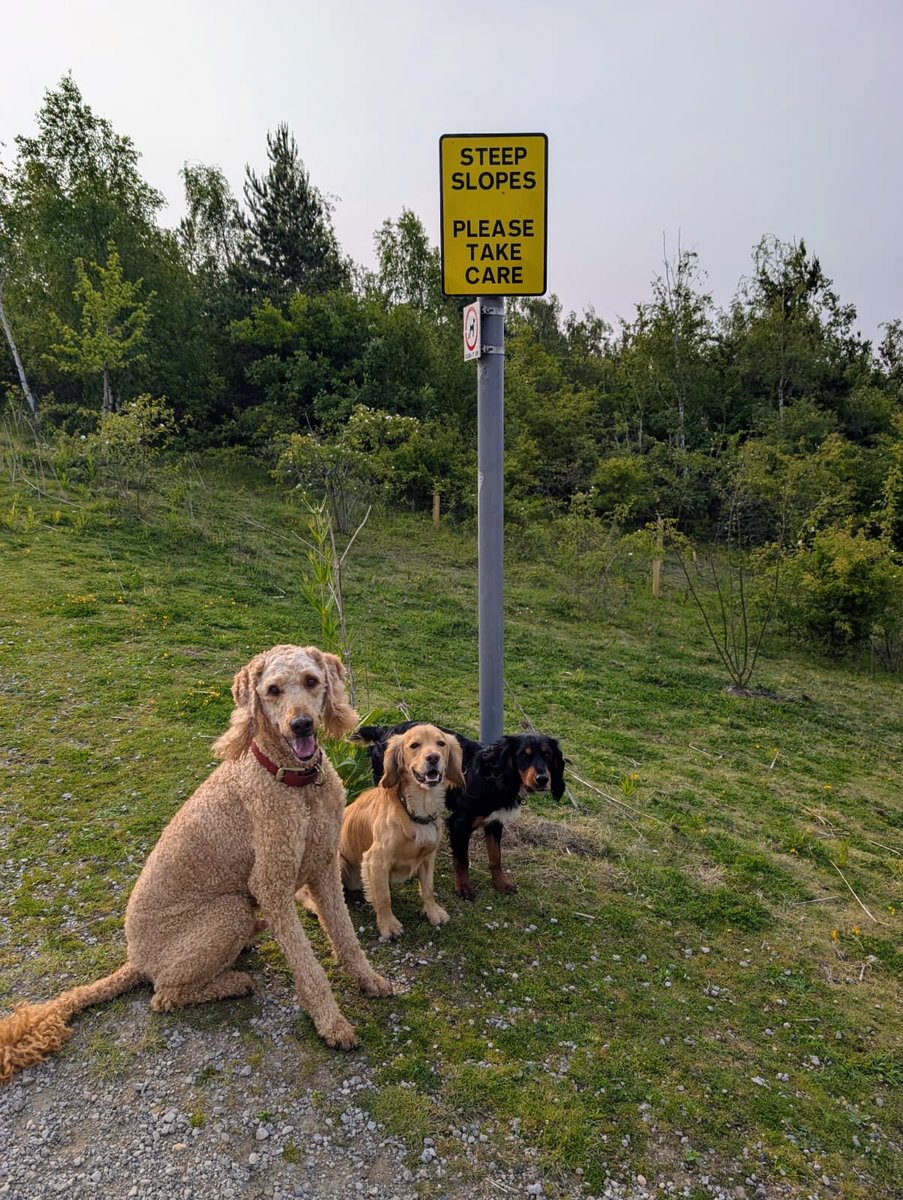 Todays message 
STEEP SLOPES PLEASE TAKE CARE
Well race you to the bottom 😂