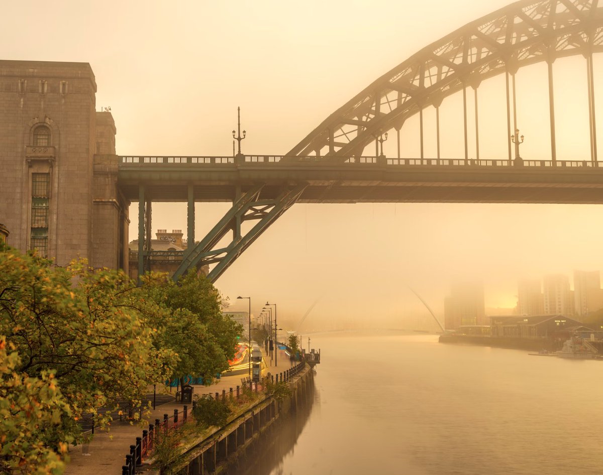 Rowtography | Jason Row Photography tweet media