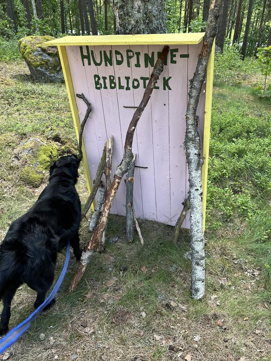 Knut Helge Mowinckel (@knutmowinckel) on Twitter photo 