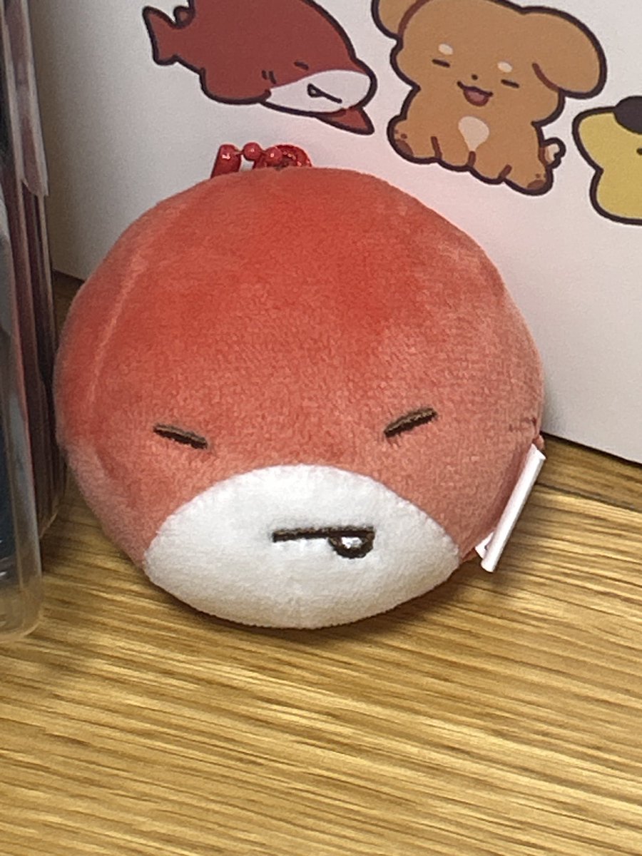 우리라더 괜찮게 생긴거엿구나...