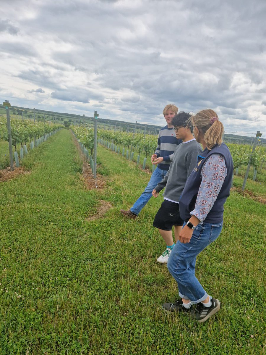 The #UppinghamHighfield Lower 6 visited a local vineyard yesterday followed by a picnic! Thanks to Lucy for organising it, and for a delicious picnic! Highfield Value: COMMUNITY