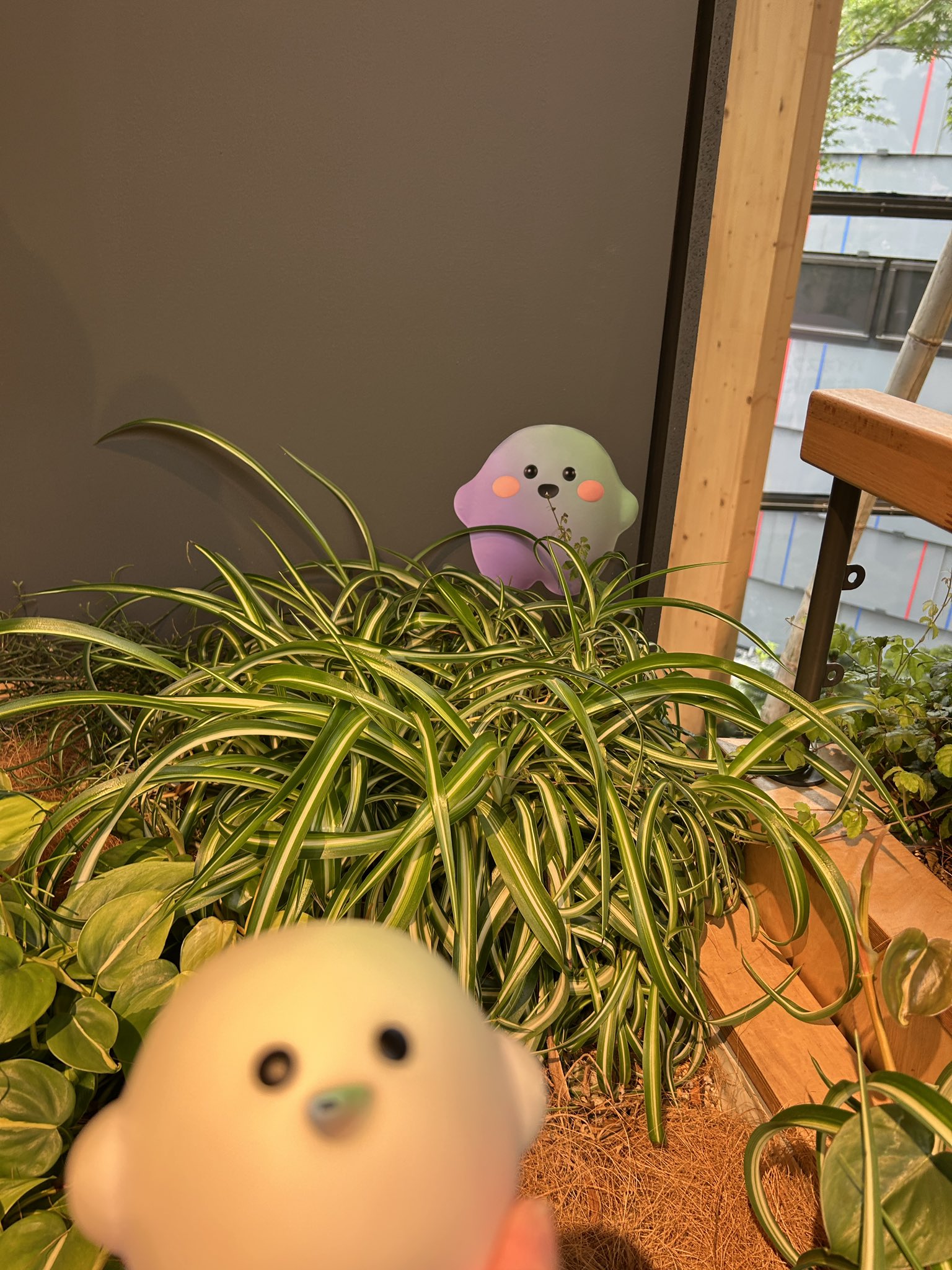 サーキュラーちゃん サーキュラーちゃん。万博ぬいぐるみ部 on X