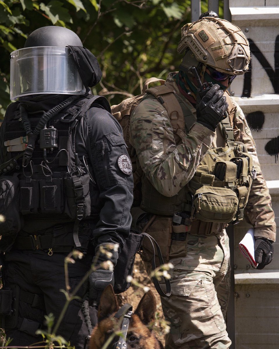Armée de Terre (@armeedeterre) on Twitter photo Débusquer avec flair, neutraliser avec force 🐾⚔️
Quand les cynos du RAID <a href="/PoliceNationale/">Police nationale</a>, du <a href="/132RIC/">132e régiment d'infanterie cynotechnique</a> et des commandos de la <a href="/Belgian_Army/">Belgian Army</a>, s’entraînent avec leurs chiens d’assaut et de recherche d’explosifs sur un scénario de prise d’otages à caractère terroriste 👊 Débusquer avec flair, neutraliser avec force 🐾⚔️
Quand les cynos du RAID <a href="/PoliceNationale/">Police nationale</a>, du <a href="/132RIC/">132e régiment d'infanterie cynotechnique</a> et des commandos de la <a href="/Belgian_Army/">Belgian Army</a>, s’entraînent avec leurs chiens d’assaut et de recherche d’explosifs sur un scénario de prise d’otages à caractère terroriste 👊