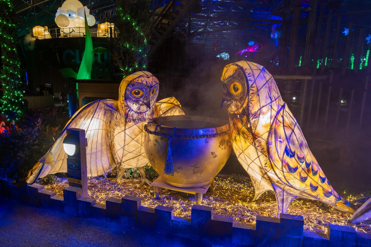 Adam Harrison tweet media