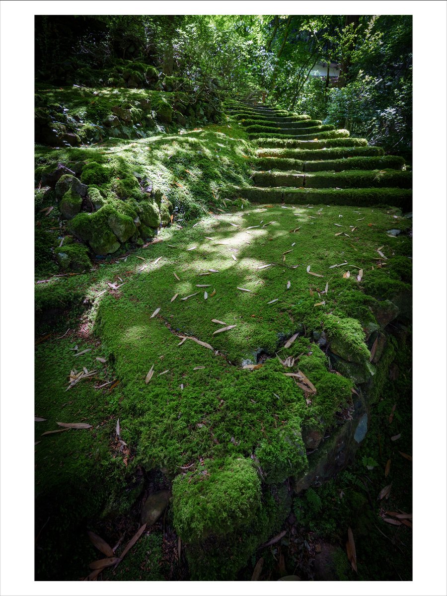 chiba (@smallworks10) on Twitter photo 