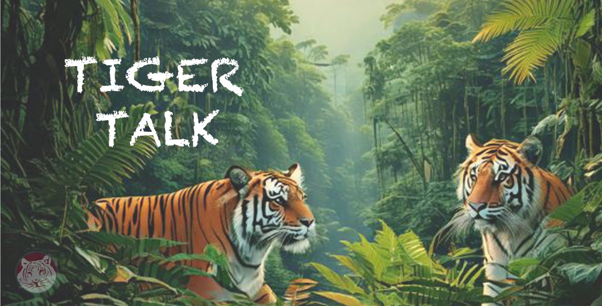 RedTiger Consultancy tweet media