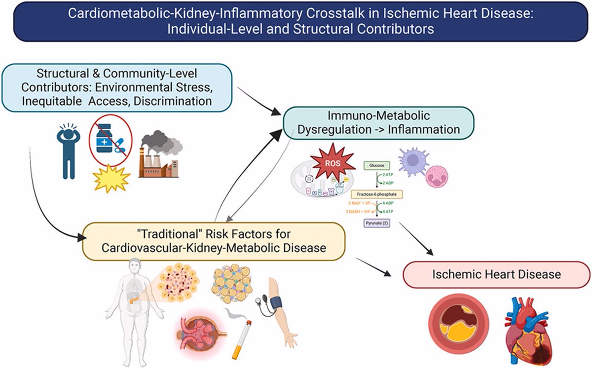 ATHjournal's tweet image. Although underlying risk factors including CKD, DM, excess visceral adiposity, and dyslipidemia are each independently associated w/ ASCVD, important mechanistic and clinical synergies exist between these conditions
🔗atherosclerosis-journal.com/article/S0021-…
@society_eas @ELS_Cardiology #CvPrev