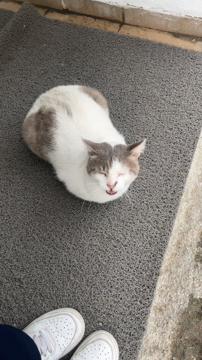 Herena (@oneofobelia) on Twitter photo 