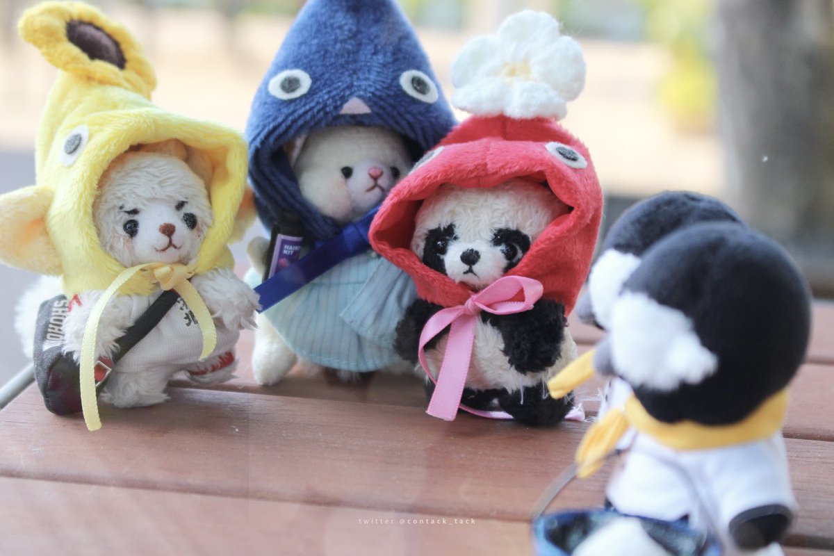 - 택 인형계 tweet media