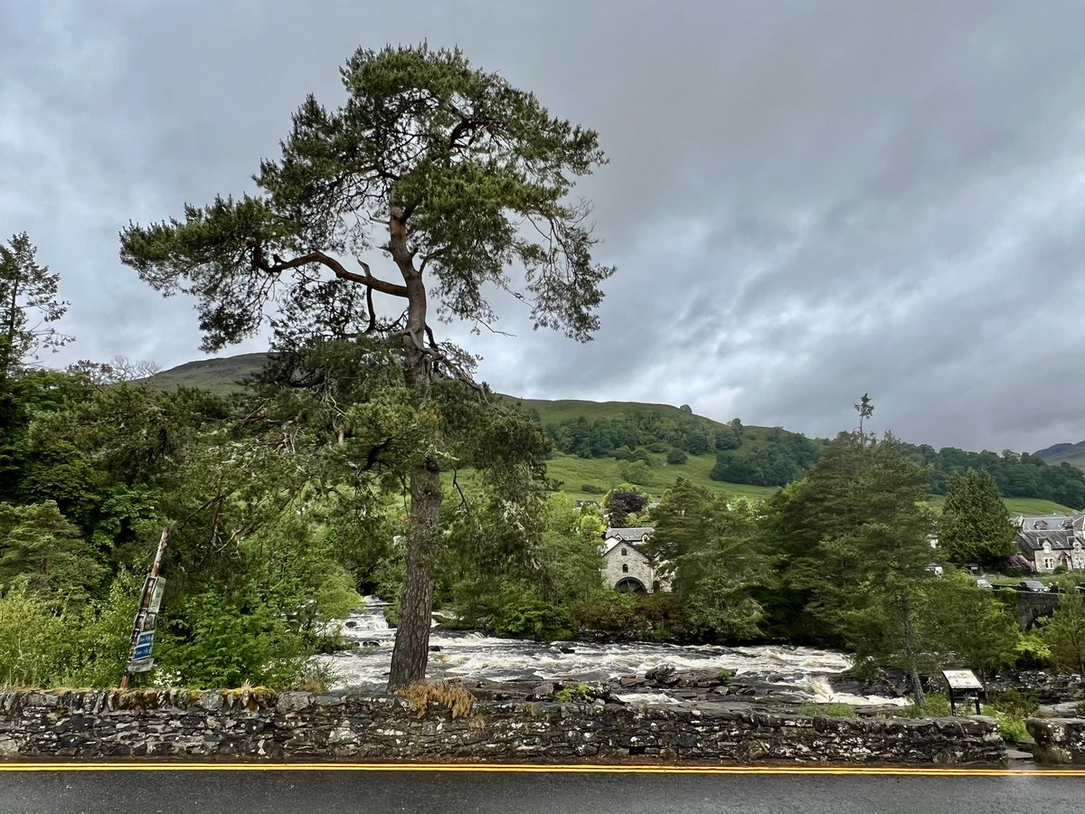 Kilted guide tweet media