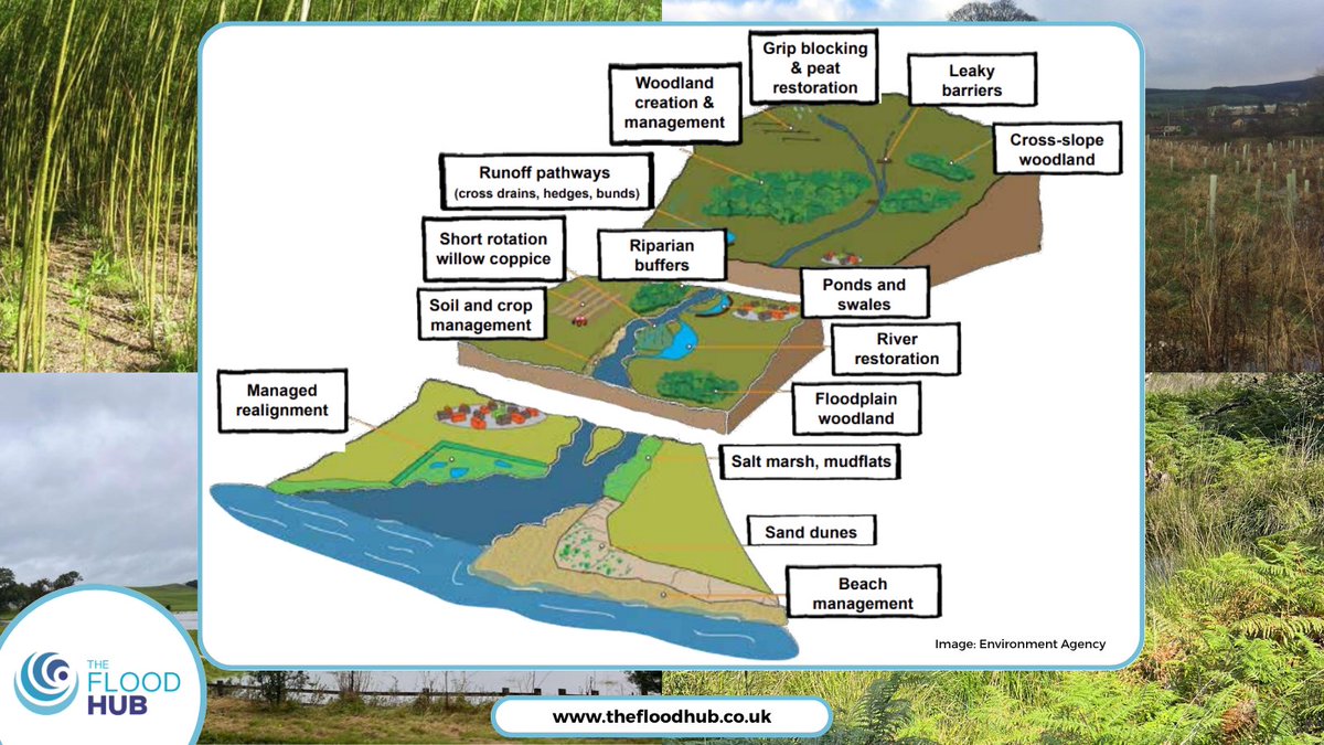 👀 When you look at the #catchment, changes within one #watercourse can have a domino effect across the rest of the catchment.

⛈️For example, heavy #rain in the upper catchment area can create very fast flows down catchment. 

👷‍♂️Human intervention like straightening #river