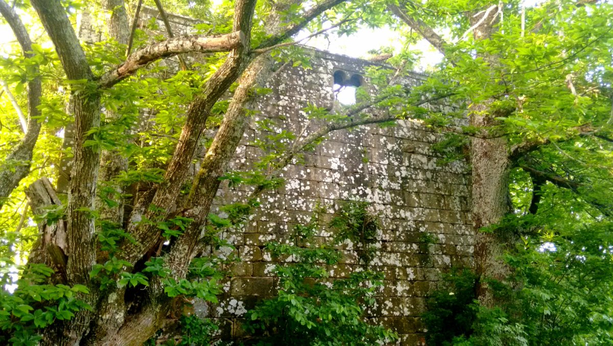 #ListaRoja | 📣 La Torre medieval A Tulla de Fafián en Rodeiro (#Pontevedra) acaba de entrar en la #ListaRojaDelPatrimonio 🚩 por ruina general.
📸 Cedida a Hispania Nostra.
listaroja.hispanianostra.org/ficha/torre-tu…