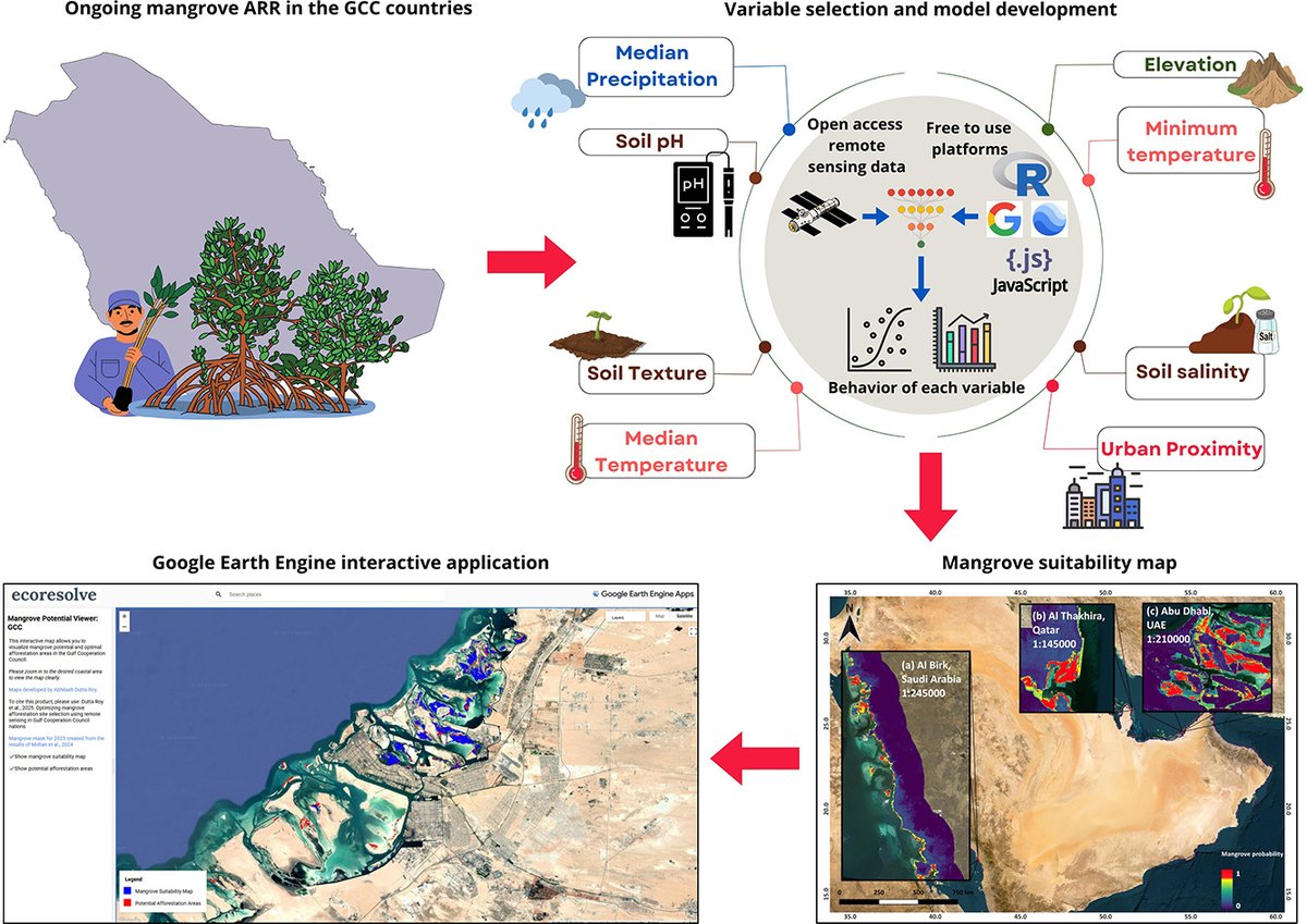 Global Forest Ecosystem Research Group (@gfbi_hub_lleida) on Twitter photo In our recent paper <a href="/UdL_RDI/">Recerca i Transferència UdL</a> <a href="/ctforestal/">CTFC</a>, we use remote sensing & #MachineLearning to guide the selection of optimal areas for #mangroveforest #restoration, key coastal ecosystems & #biodiversity hotspots worldwide that provide multiple ecosystem services sciencedirect.com/science/articl… In our recent paper <a href="/UdL_RDI/">Recerca i Transferència UdL</a> <a href="/ctforestal/">CTFC</a>, we use remote sensing & #MachineLearning to guide the selection of optimal areas for #mangroveforest #restoration, key coastal ecosystems & #biodiversity hotspots worldwide that provide multiple ecosystem services sciencedirect.com/science/articl…