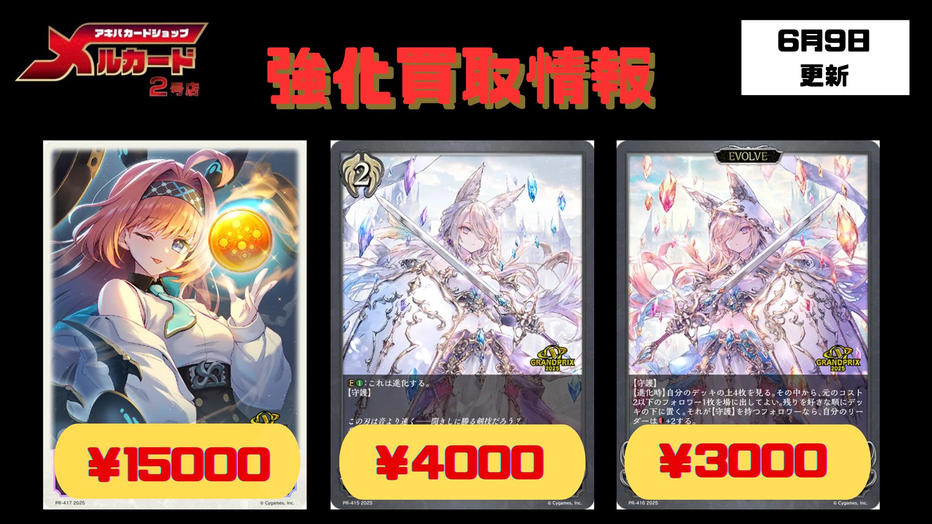 シャドウバースエボルヴ　ルナールの聖騎士　プロモ　進化前進化後セット Amazon.co.jp: Shadowverse EVOLVE シャドウバース エボルヴ 13