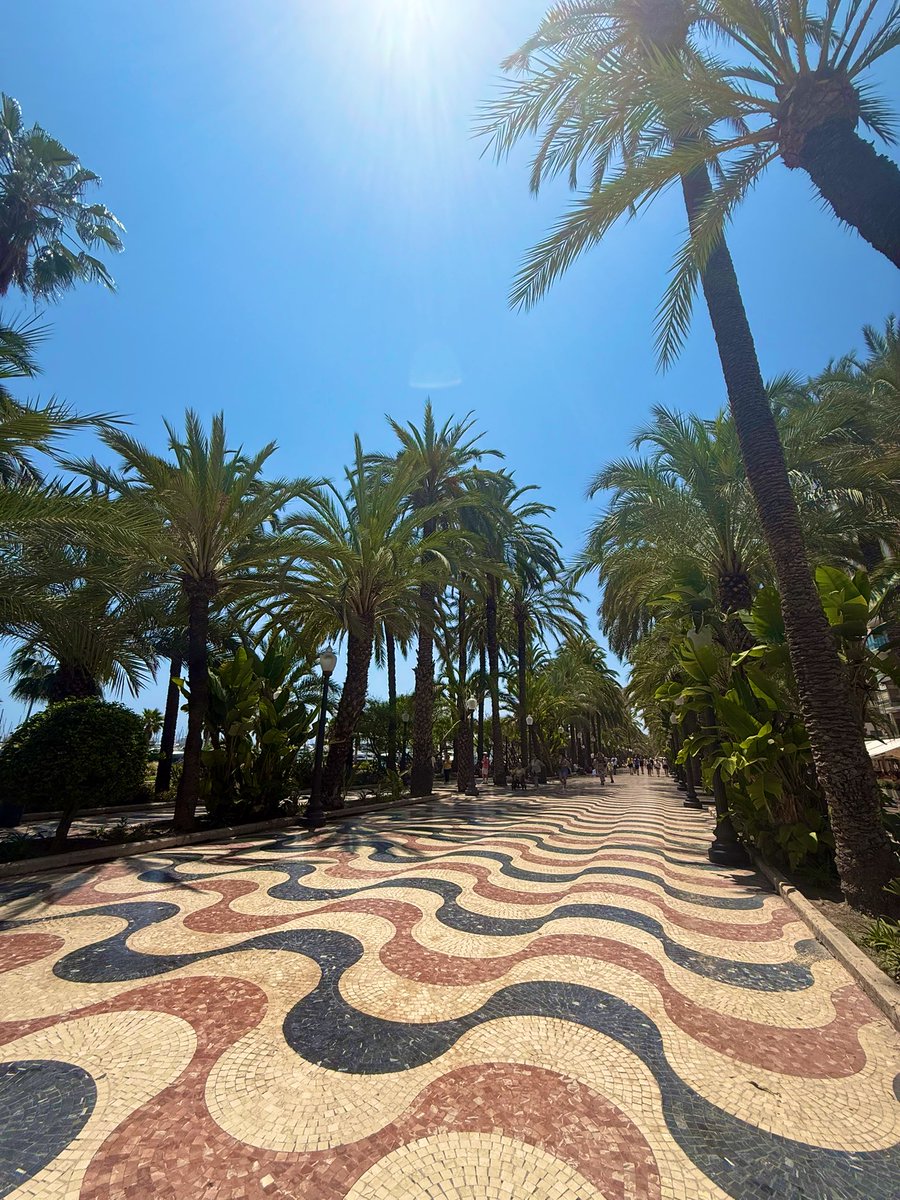 𝕴𝖓𝖌𝖗𝖎𝖉 🧜🏼‍♀️ tweet media